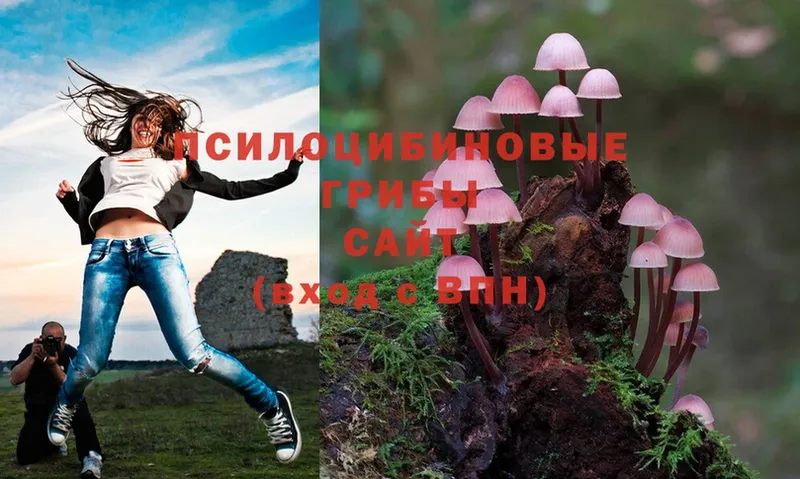 Псилоцибиновые грибы Magic Shrooms  Кстово 